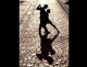 Libertango