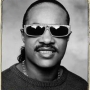 Stevie Wonder(스티비 ...
