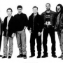 UB40(유비포티)